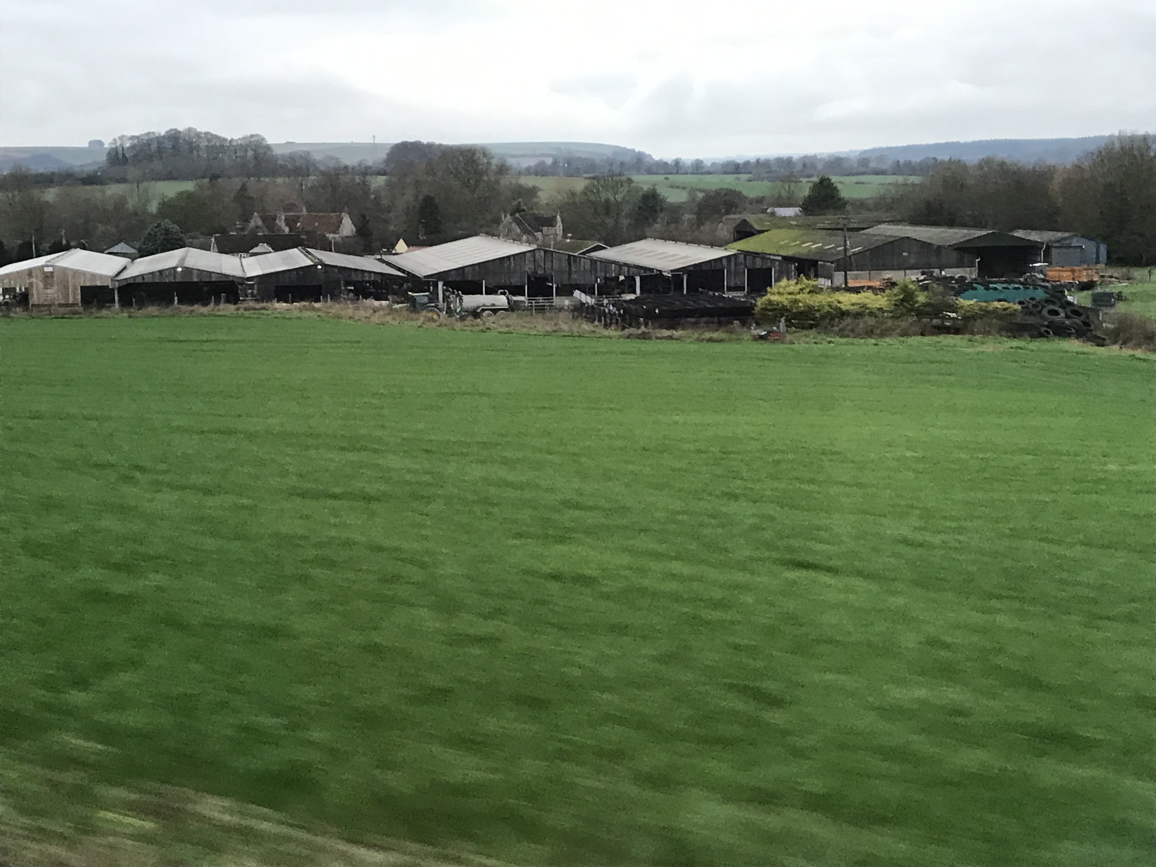 ./2018/15 - London/04 - Day 4/IMG_9392.jpg